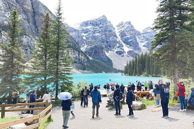 Calgary YYC Airport to Banff Hotels (Shared Shuttle Bus) - The 1h45 Plan vs. Shared Stops: Timing You Can Trust