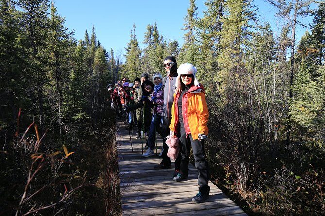 Cameron Falls Hiking Tour - The Falls Stop: Where the Picnic Becomes the Best Part