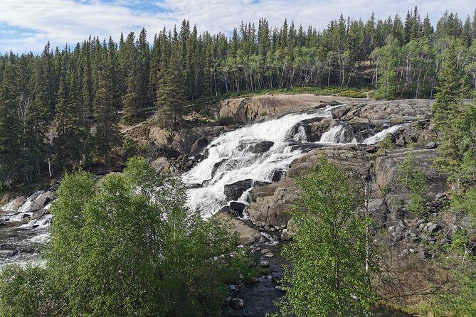 Cameron Falls Hiking Tour - Guides Who Turn Nature Into a Real Story