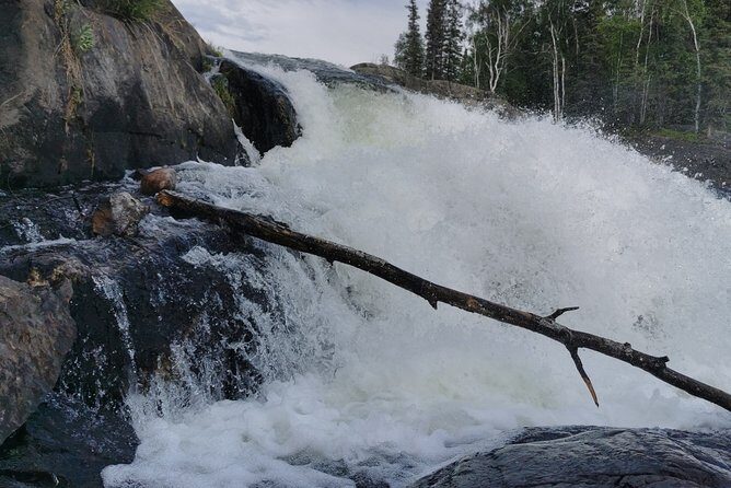 Cameron Falls Hiking Tour - Group Size and Pace: Who This Is Best For