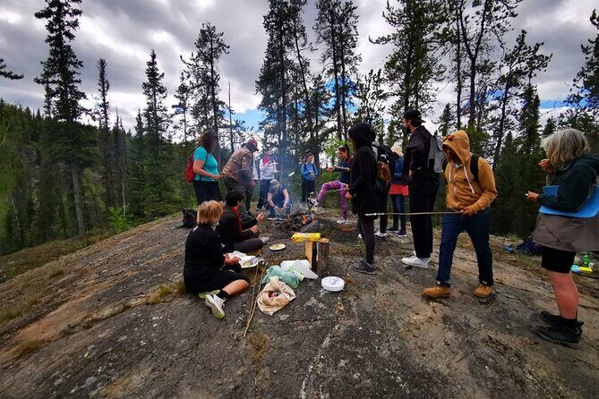 Cameron Falls Tour Custom Waterfall Hiking - Cameron Falls’ 17-Meter Drop: The Moment the Tour Is Built Around