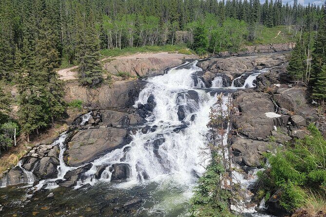 Cameron Falls Tour Custom Waterfall Hiking - Wildlife Odds: Birds, Small Mammals, and the Quiet Between Views