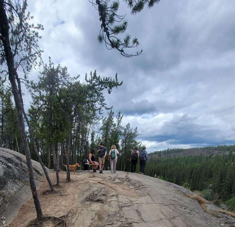 Cameron Falls Waterfall Tour - Who should book Cameron Falls, and who should skip it