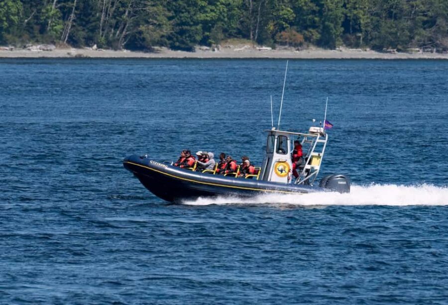 Campbell River: 4 Hour Whale & Wildlife Zodiac Boat Tour - Key moments that make this tour worth it
