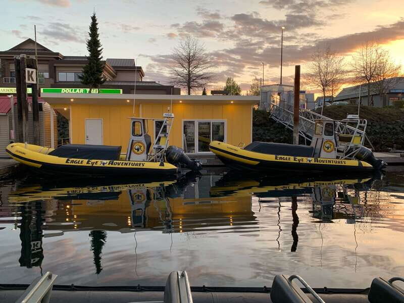 Campbell River: 4 Hour Whale & Wildlife Zodiac Boat Tour - What to wear and how the crew keeps you safe on a zodiac