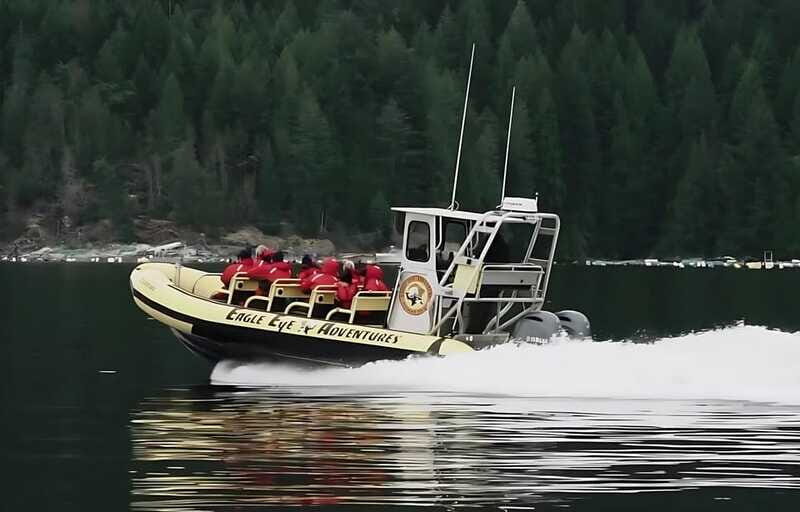 Campbell River: 6 Hour Zodiac Whale Watching Tour w/ Lunch - The boat, the gear, and staying comfortable in real ocean conditions