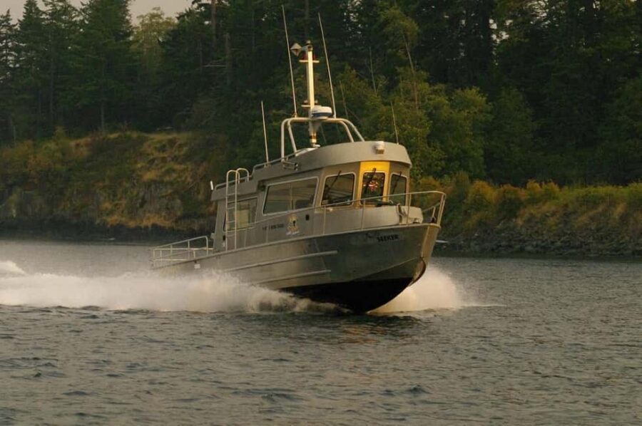 Campbell River: 7-Hour Big Animal Encounter Boat Tour - Setting Out From Campbell River Marine Adventure Centre and Painters Lodge