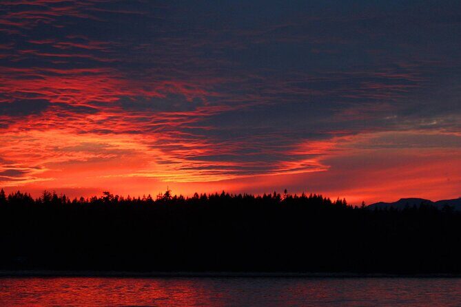 Campbell River, BC: 2 Hour Coastal Sunset Tour By Boat - Comfort, Snacks, and Small-Group Attention