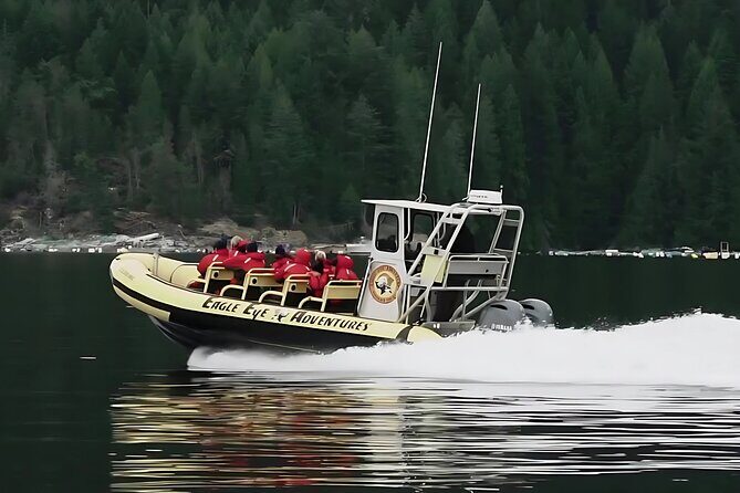 Campbell River, BC: 4 Hour Wildlife Tour Featuring Whale Watching - Key Things That Make This Wildlife Tour Work