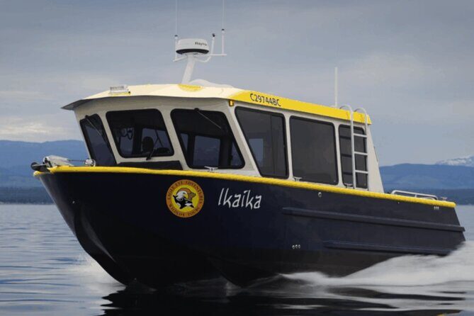 Campbell River, BC: 4 Hour Wildlife Tour Featuring Whale Watching - Zodiac Ride Comfort: Weather Suits, Choppy Water, and Captain Skills