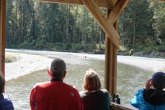 Campbell River: Bute Inlet Grizzly-Watching Tour & Boat Ride - Where this tour fits in the Campbell River wildlife mix