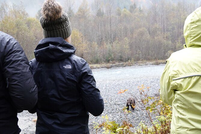 Campbell River: Bute Inlet Grizzly-Watching Tour & Boat Ride - What the included food and comforts actually change on a 8–10 hour day