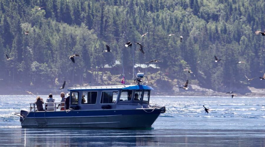 Campbell River: Grizzly Bear Expedition with Lunch - Getting Ready: What to Bring and What to Skip