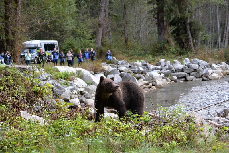 Campbell River: Grizzly Bear-Watching Tour with Lunch - Entering Homalco territory: how the Orford Bay land portion works