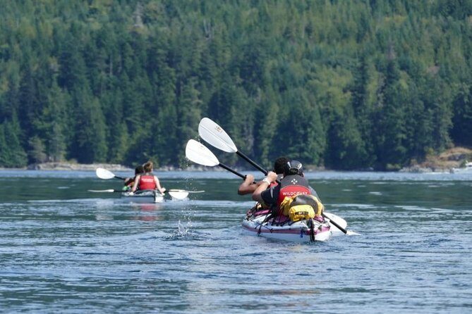 Campbell River: Kayaking and Whale Watching Tour - Why this Campbell River day works: kayak first, boat second