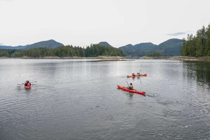 Campbell River: Kayaking and Whale Watching Tour - Wildlife expectations: humpbacks, orca, and the joy of not forcing it