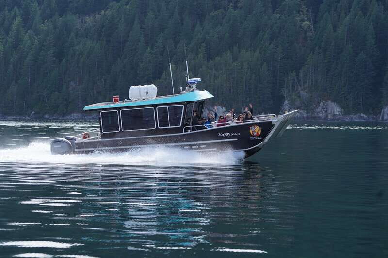 Campbell River: Salish Sea Whale Watching Adventure - Indigenous Stories With Homalco Guides on Board