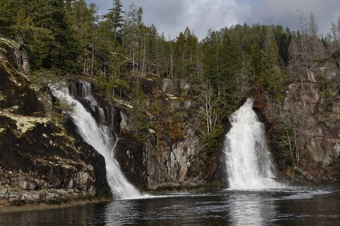 Campbell River: Spring Bear Watching & Waterfalls Boat Tour - Key things I’d plan around