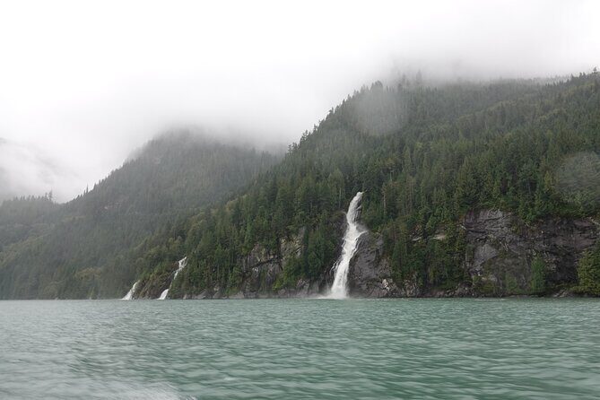Campbell River: Spring Bear Watching & Waterfalls Boat Tour - A Seven-Hour Campbell River boat day for bears and waterfalls
