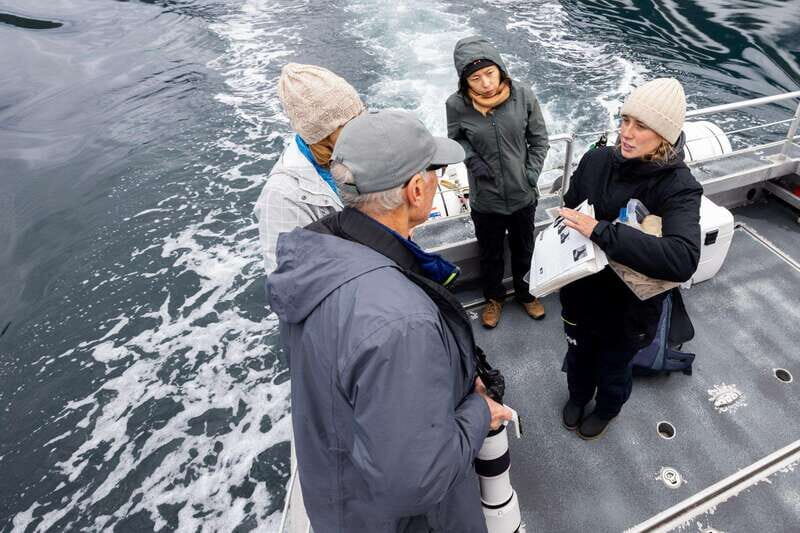 Campbell River: Whale Watching and Wildlife Viewing Day Tour - What You’ll Look For: Orcas, Then the Whole Food Chain