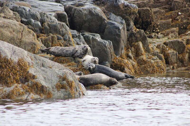 Campbell River: Whale Watching and Wildlife Viewing Day Tour - The Onboard Comfort Details That Save Your Day