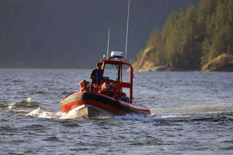 Campbell River: Whale & Wildlife Discovery Cruise - The On-board Naturalist and Guide Style That Changes Everything