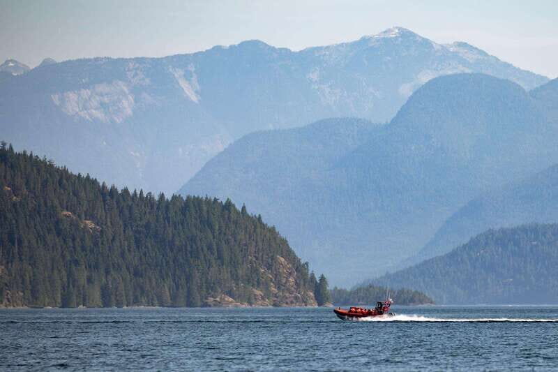 Campbell River: Whale & Wildlife Discovery Cruise - Wildlife Watching Is a Respect Game (And That’s a Good Thing)