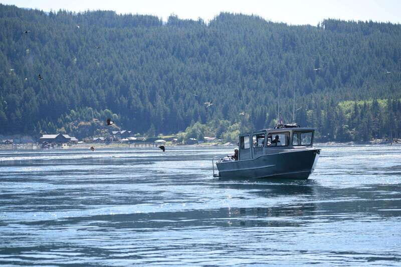 Campbell River: Whales and Wildlife Boat Tour with Snacks - What to bring: your packing list for a chilly coast