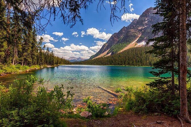Canadian Rockies and Banff 4-Day Tour from Vancouver (Chn&Eng) - Day 3 on the Icefields Parkway: glaciers, Bow Lake, and Jasper-area scenery