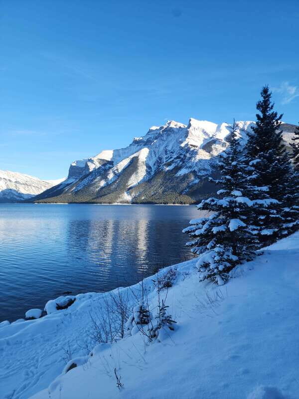 Canmore/Banff: Explore Banff & Wildlife - Key things to know before you go