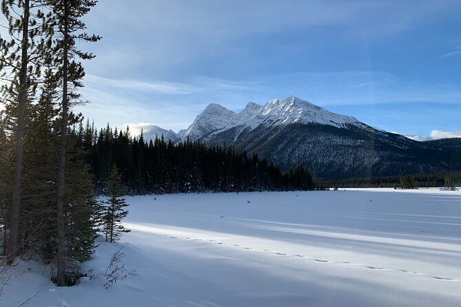Canmore: Lost Towns and Untold Stories Hiking Tour - 3hrs - Kananaskis Country: Lost Mining Towns Without the Museum Tone