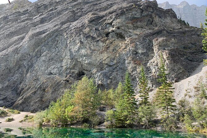 Canmore: Lost Towns and Untold Stories Hiking Tour - 3hrs - What You’ll Learn on the Trail: Trees, Tracks, and Hand-Me-Down Clues