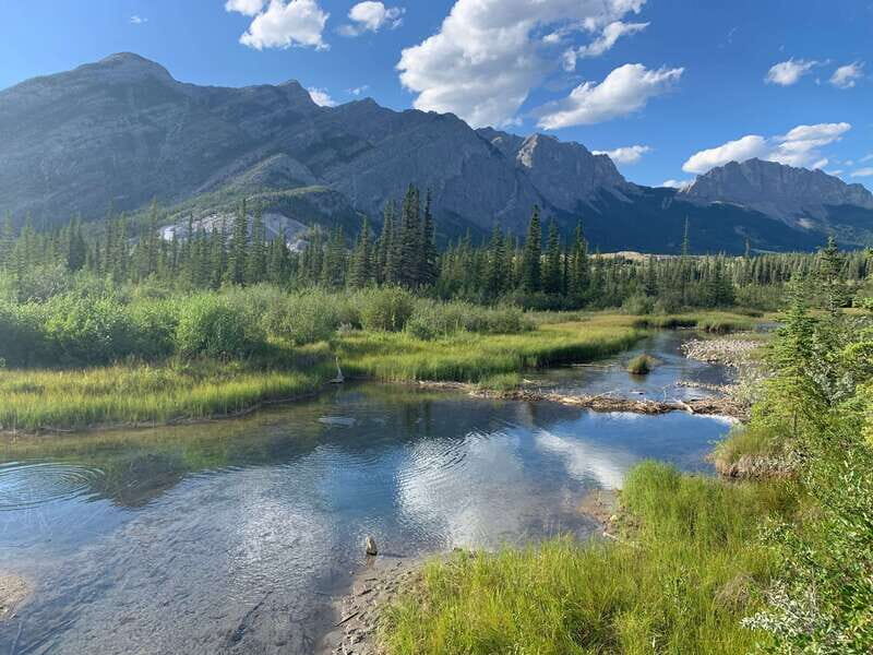 Canmore: PRIVATE SAFARI Drive to BANFF Park & Nature Walk - Private Safari Drive From Canmore to Banff: What This Really Is