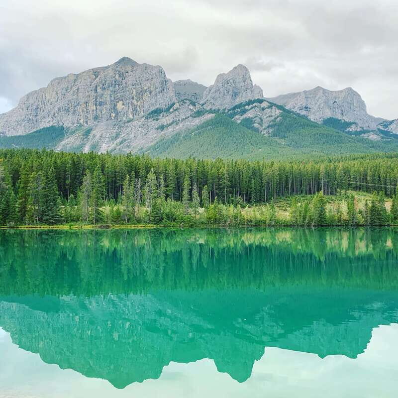 Canmore: PRIVATE SAFARI Drive to BANFF Park & Nature Walk - Scenic Safari Drive: Better Wildlife Odds and Better Photos