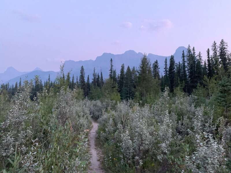 Canmore: PRIVATE SAFARI Drive to BANFF Park & Nature Walk - The One-Hour Nature Walk: Customized to Your Pace