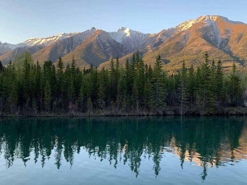 Canmore: PRIVATE SAFARI Drive to BANFF Park & Nature Walk - What Animals You Might See (and How to Behave)