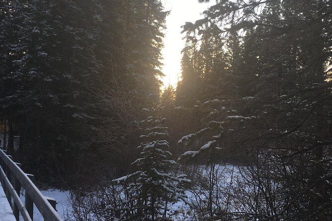 Canmore: Stargazing and Nature by Nightfall Walking Tour - 2hr - What makes the star viewing actually good here