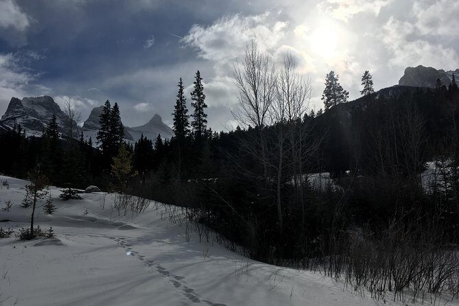 Canmore: Stargazing and Nature by Nightfall Walking Tour - 2hr - Safety and comfort: what the provided gear means for you