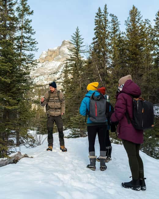Canmore: Stargazing and Night Adventure - Price and Value: $62 for a Guided Night Setup