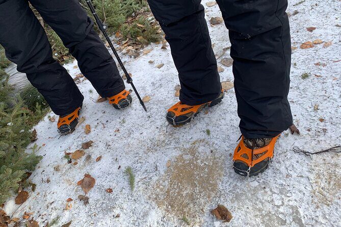 Canmore: Wilderness & Wildlife Tour - 2hr Walk - Park entry fee included: a small detail that changes the overall value