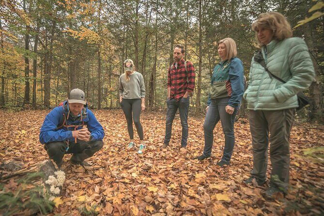 Canopy Tour at Haliburton Forest - Safety Training and Harness Use: The Part That Matters