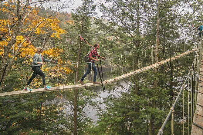 Canopy Tour at Haliburton Forest - Guides and Group Size: Why This Feels Personal