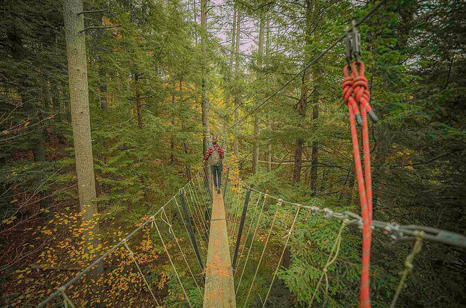 Canopy Tour at Haliburton Forest - Who This Tour Suits Best (And Who Might Want a Different Option)