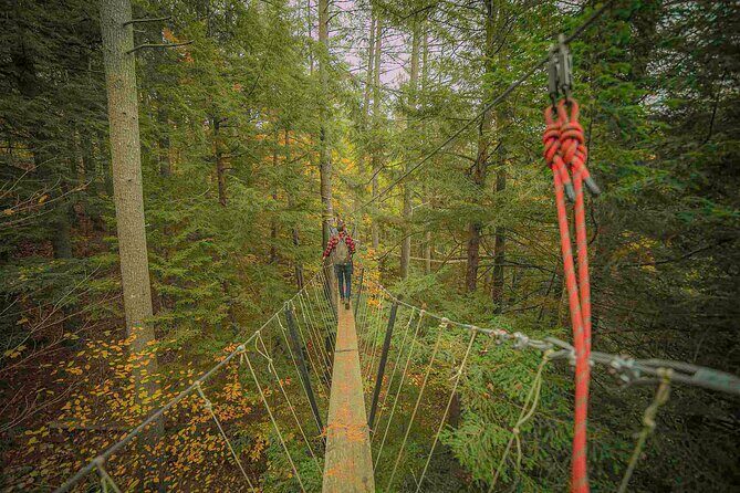 Canopy Tour at Haliburton Forest - The Wolf Centre Stop: Small Facility, Big Wolf-Watching Payoff