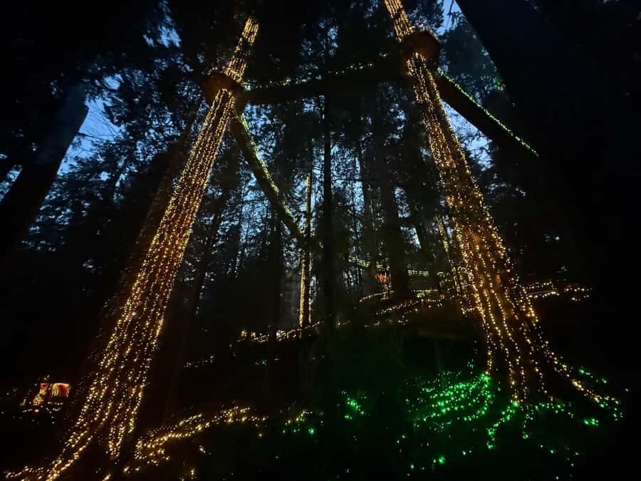 CANYON LIGHTS+Capilano Suspension Bridge/Small Group/CAR - Why this Vancouver combo tour makes sense