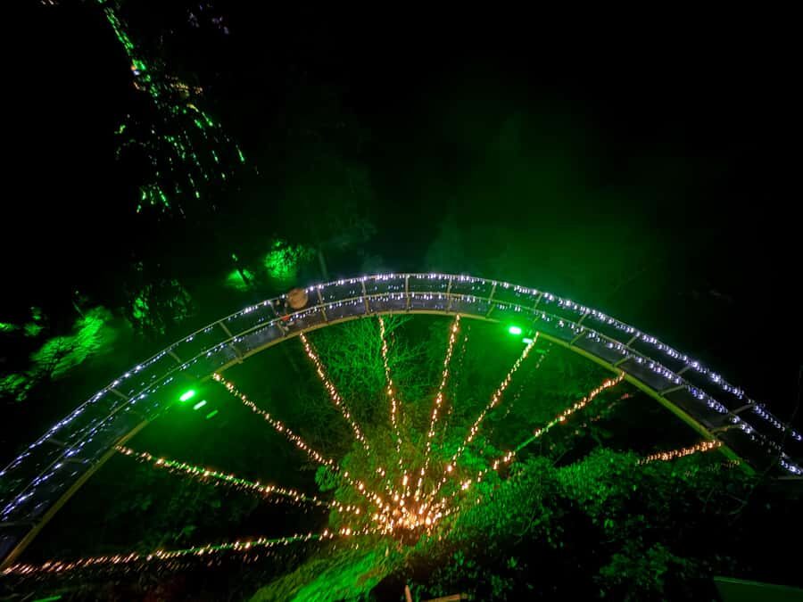 CANYON LIGHTS+Capilano Suspension Bridge/Small Group/CAR - The drive-through experience: Stanley Park and Lions Gate