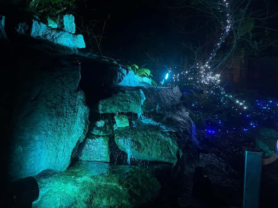 CANYON LIGHTS+Capilano Suspension Bridge/Small Group/CAR - Treetops Adventure: seven suspension bridges in the rainforest