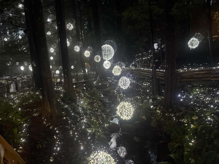 CANYON LIGHTS+Capilano Suspension Bridge/Small Group/CAR - Pickup without the usual Vancouver hassle