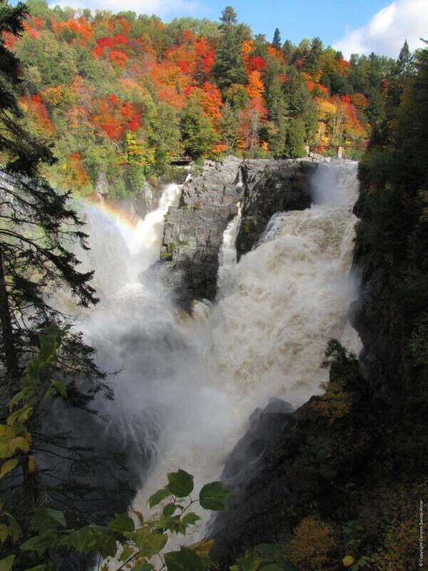Canyon Sainte Anne: Air Canyon Ride with Park Entry - What to bring (and what not to bring)