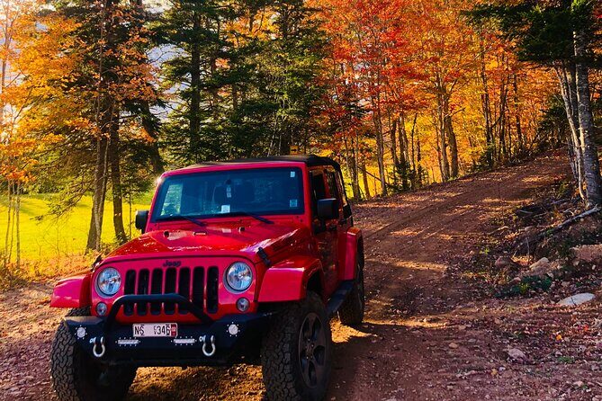 Cape Breton Fall Colours Tour On and Off Road - How Much Is $119.60 Worth for a 2-Hour Private Tour?